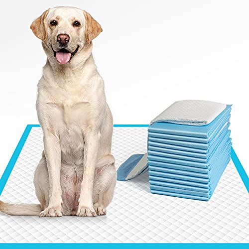 IMMCUTE Dog Pee Pads Extra Large 28x34. X-Large Training Puppy Pee Pads Super Absorbent & Leak-Proof. XL Disposable Pet Piddle Pad and Potty Pads for Dogs. Puppies. Doggie (XLarge:28*34-40 Ct)