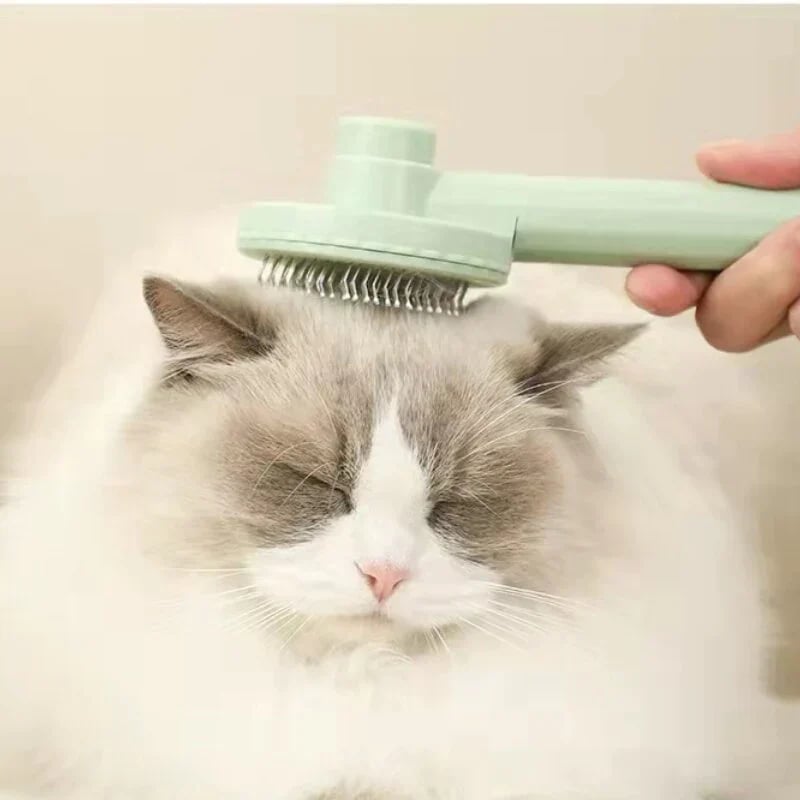 Self-Cleaning Grooming Brush🔥