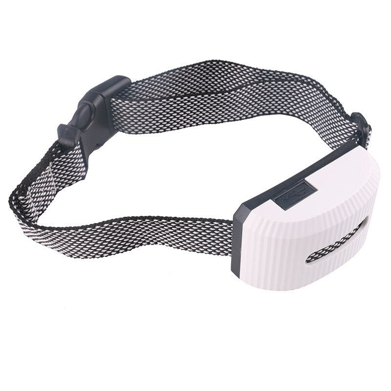 Electric Dog Training Collar