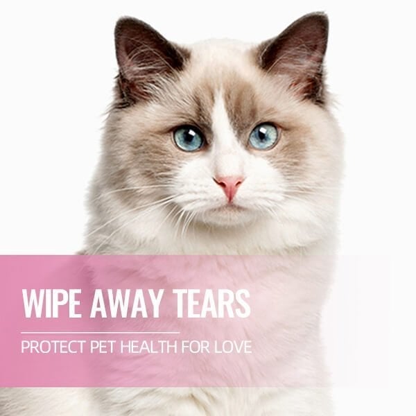 Pet Tear Stain Wipes 🔥Buy 2 Get 1 Free