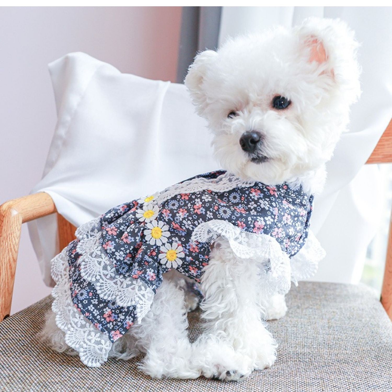 Lace Design Floral Dog Cat Dress