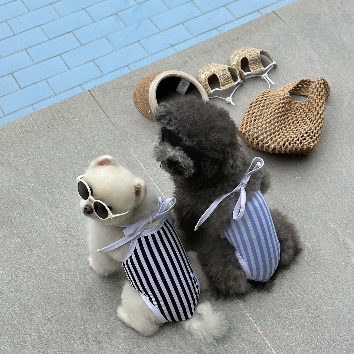 Striped Printed Dog Swimsuit