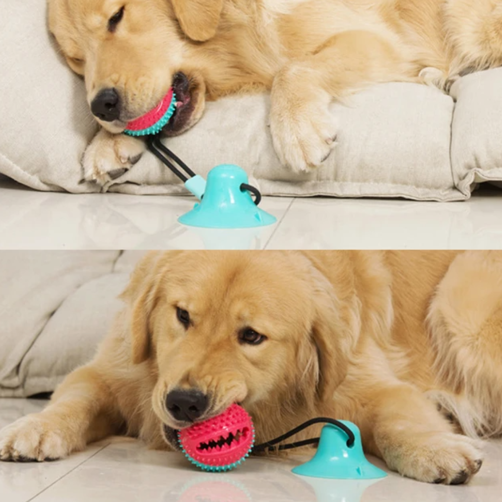 ChewyClean Suction Cup Treat Toy