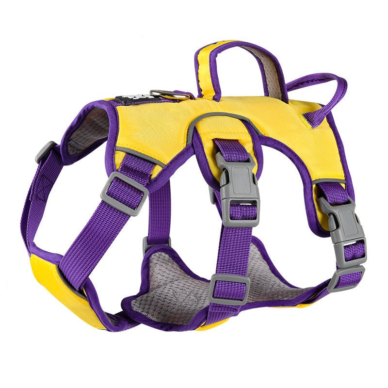 Contrast Color No Pull Dog Harness/Leash For Medium Dog