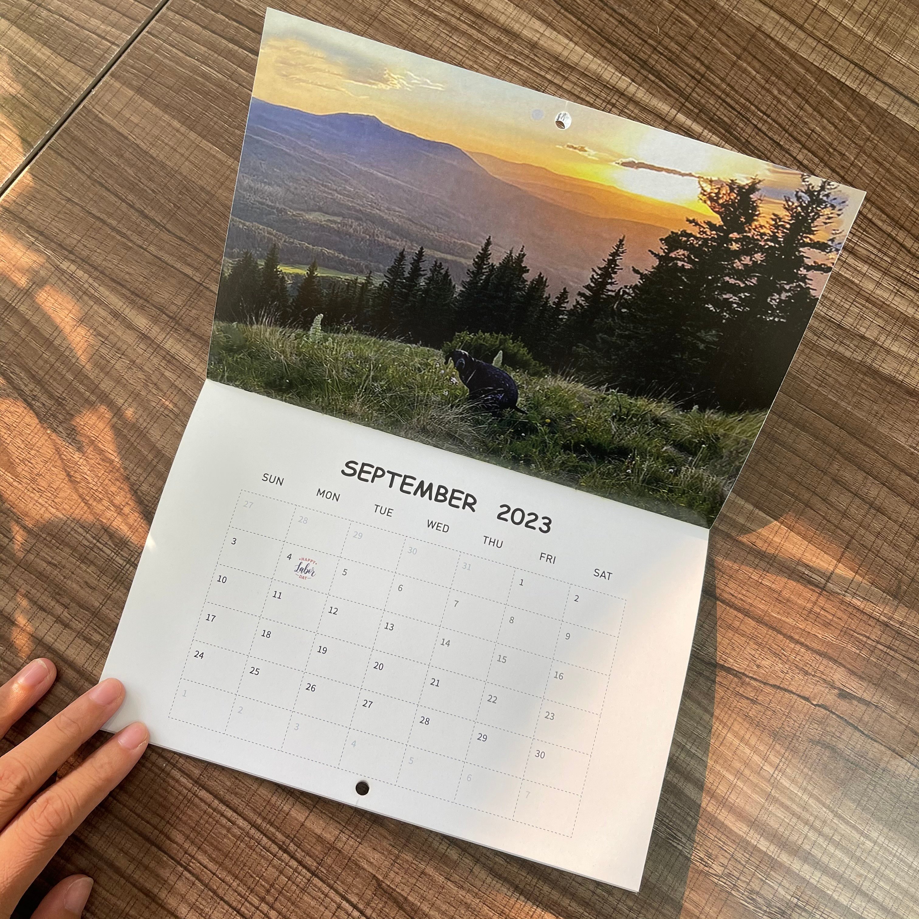 Funny Calendar Gift - Dog Poop Calendar