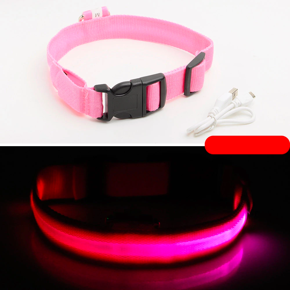 LED Dog Collar - USB Rechargeable - Glow In Dark