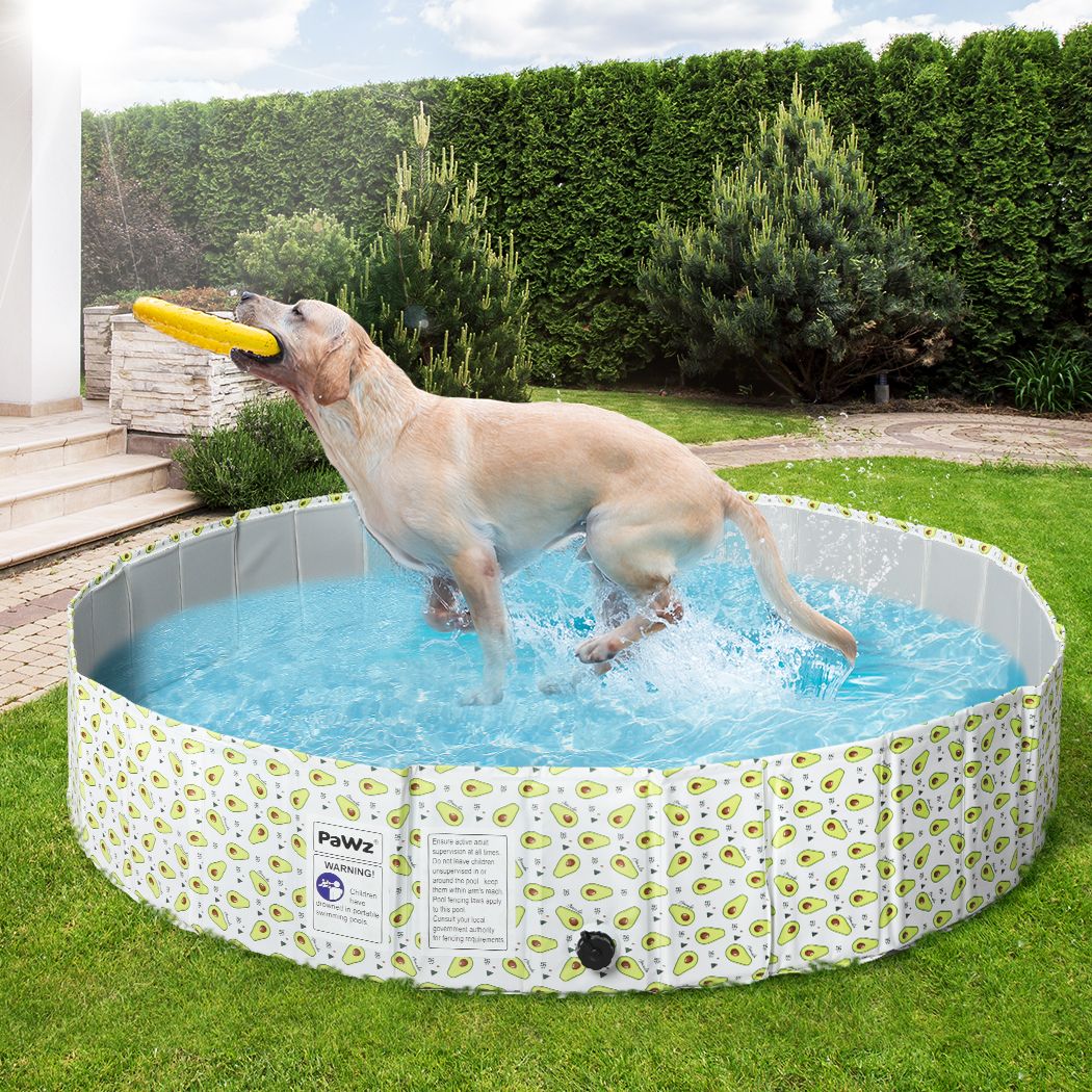 Foldable Pet Swimming Pool in Avocado Print (Various Sizes)