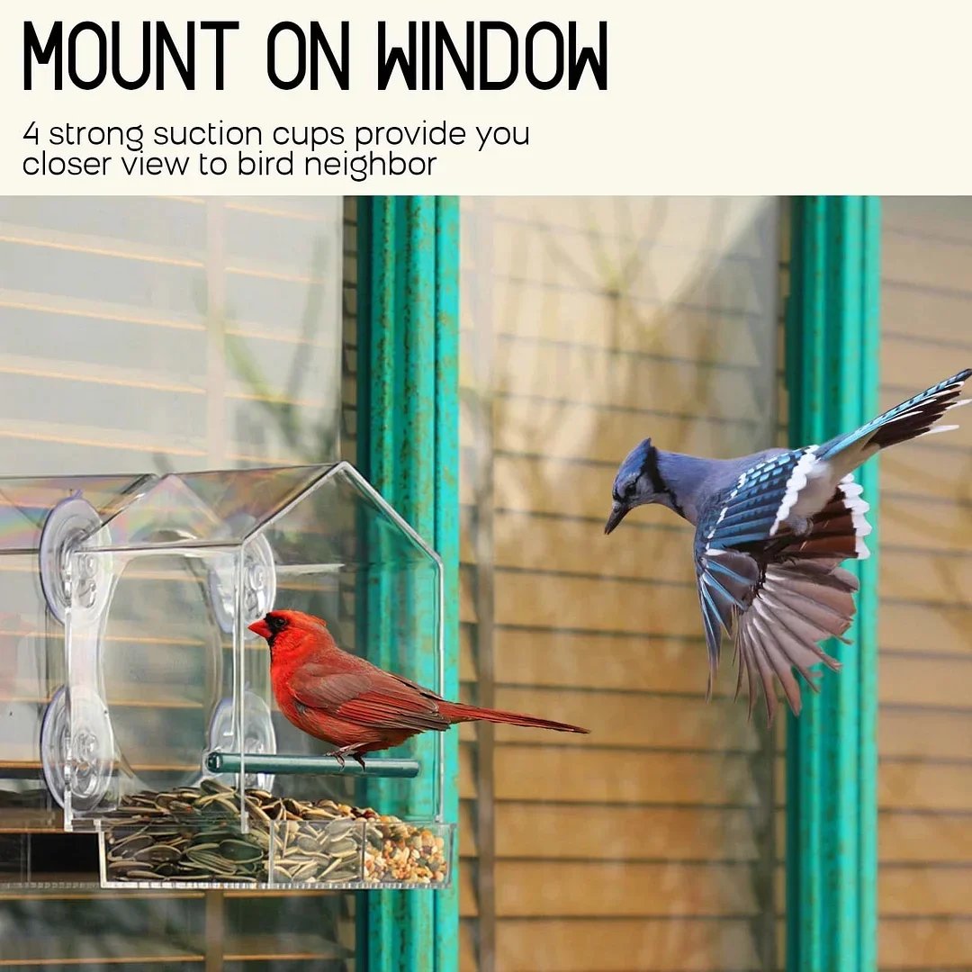 Hot sale--Window Bird Feeder for Outside🔥BUY 2 FREE SHIPPING🔥