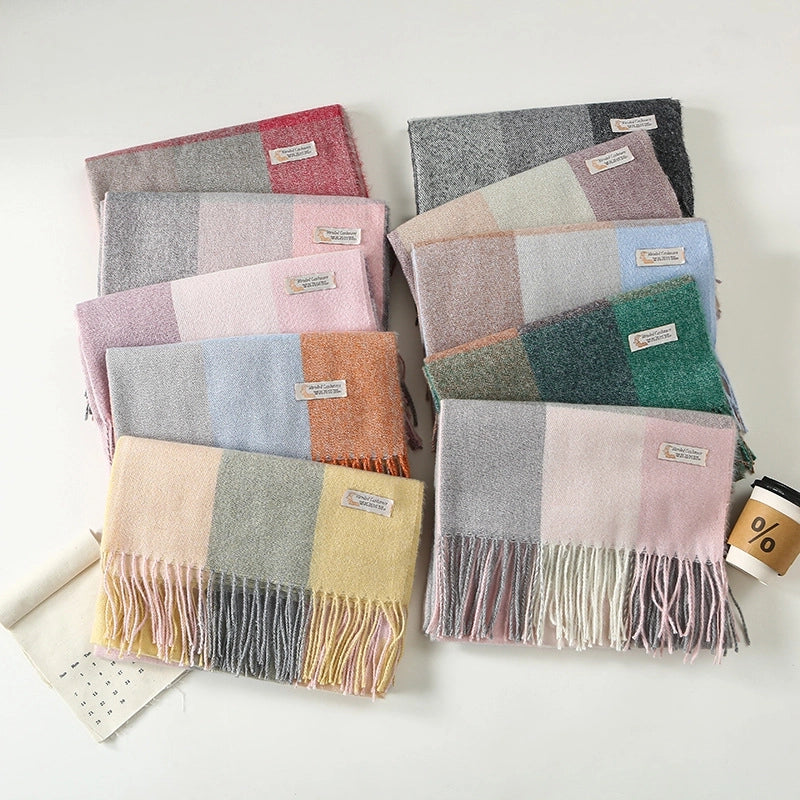 Women's Minimalist Classic Style Color Block Imitation Cashmere Scarf