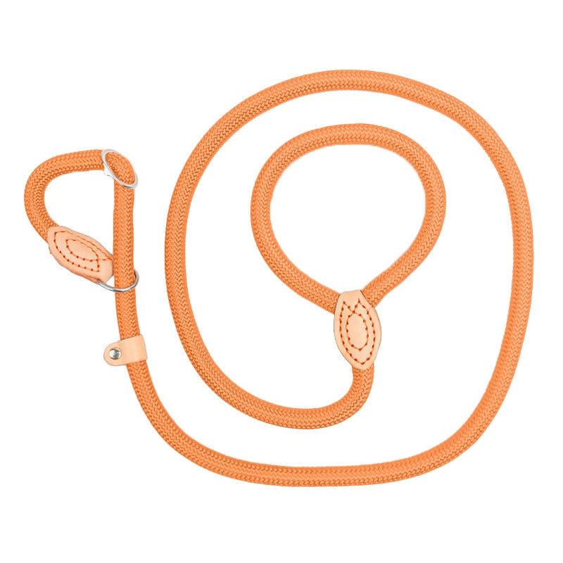 Minimalist Classic Style Nylon Solid Color Leash