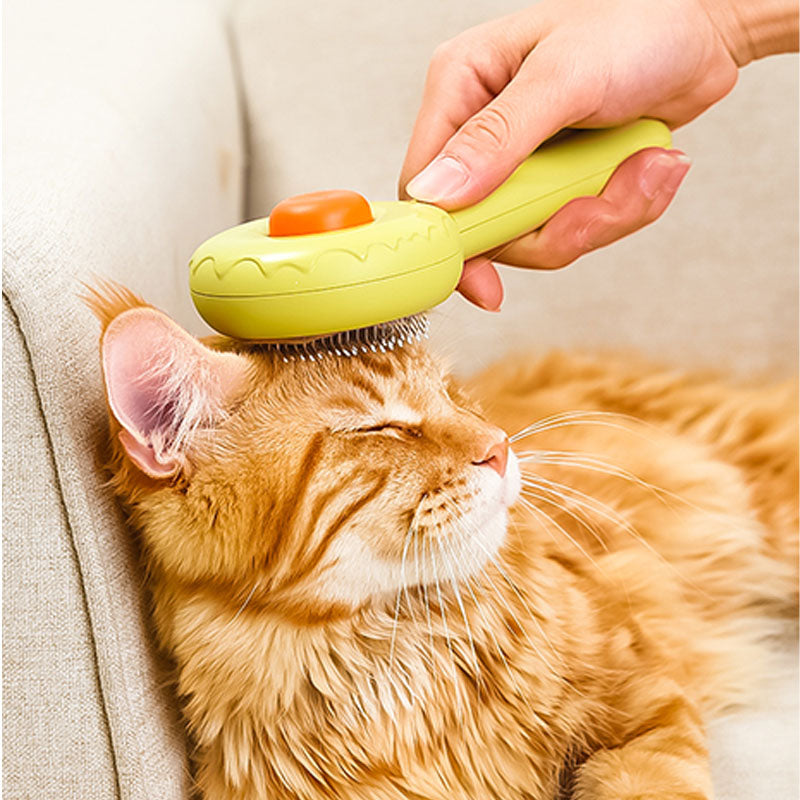 Donut Cat Groom