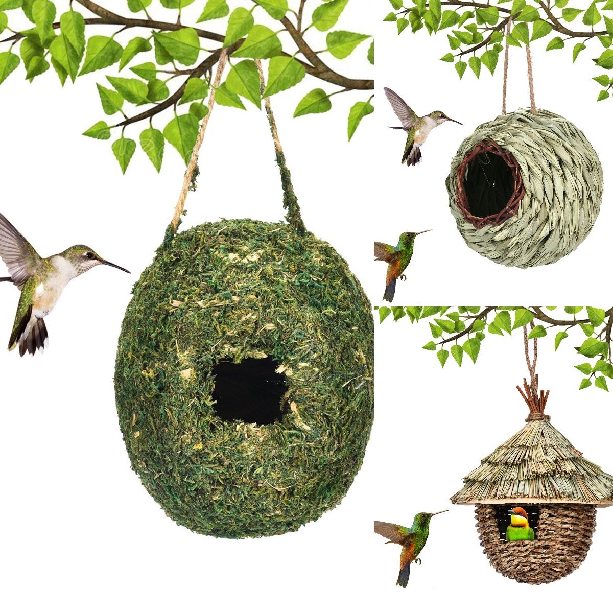 47% OFF Today Only! (4.8/5⭐⭐⭐⭐⭐)💕Fowl Oasis-Tailor-made Woodworked Aviary