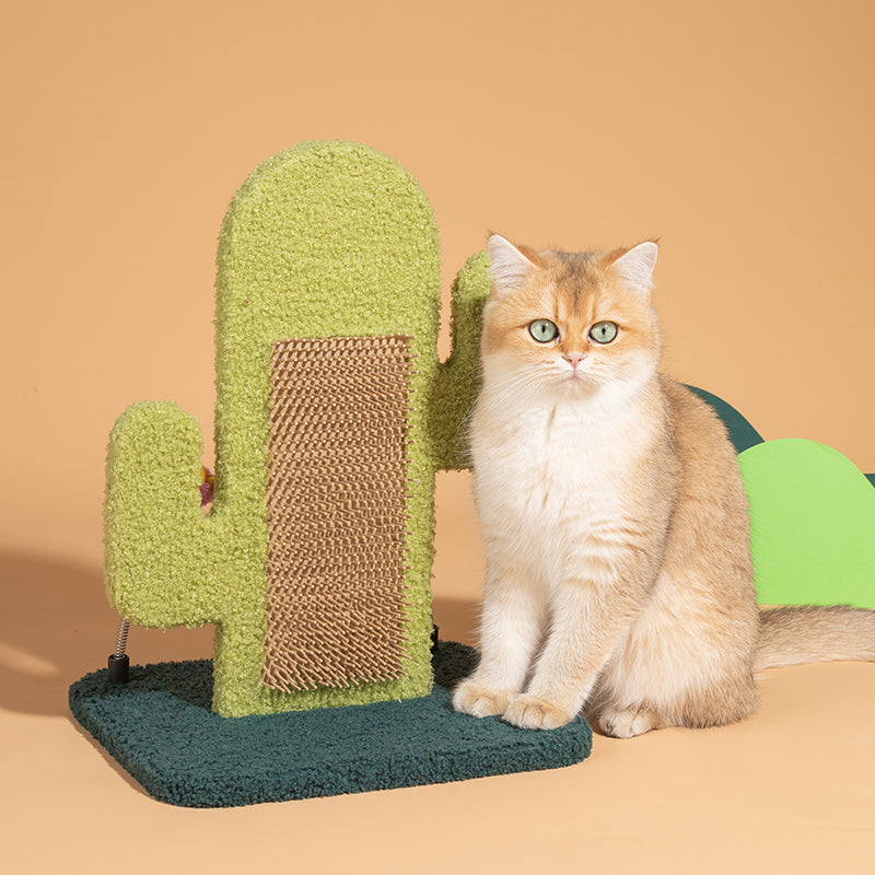 Cactus Cat Scratcher