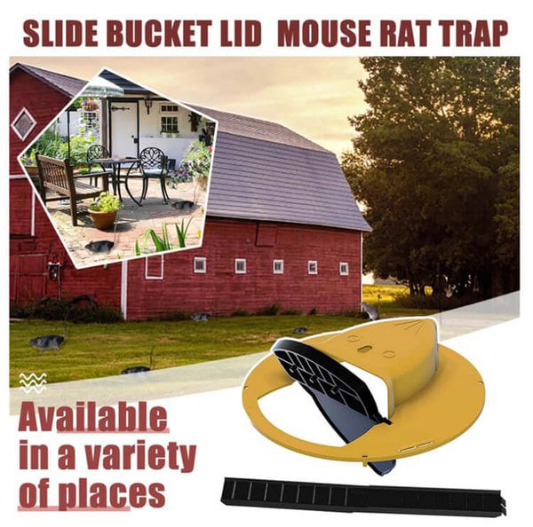 Bucket Lid Mouse Trap