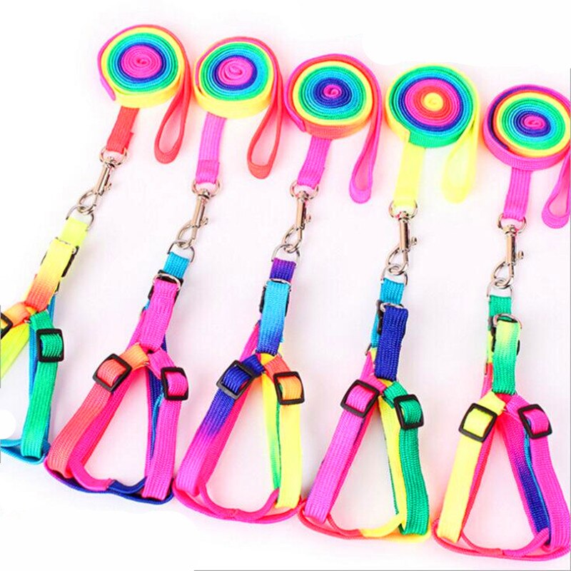 Small Pet Dog Multicolor Leash