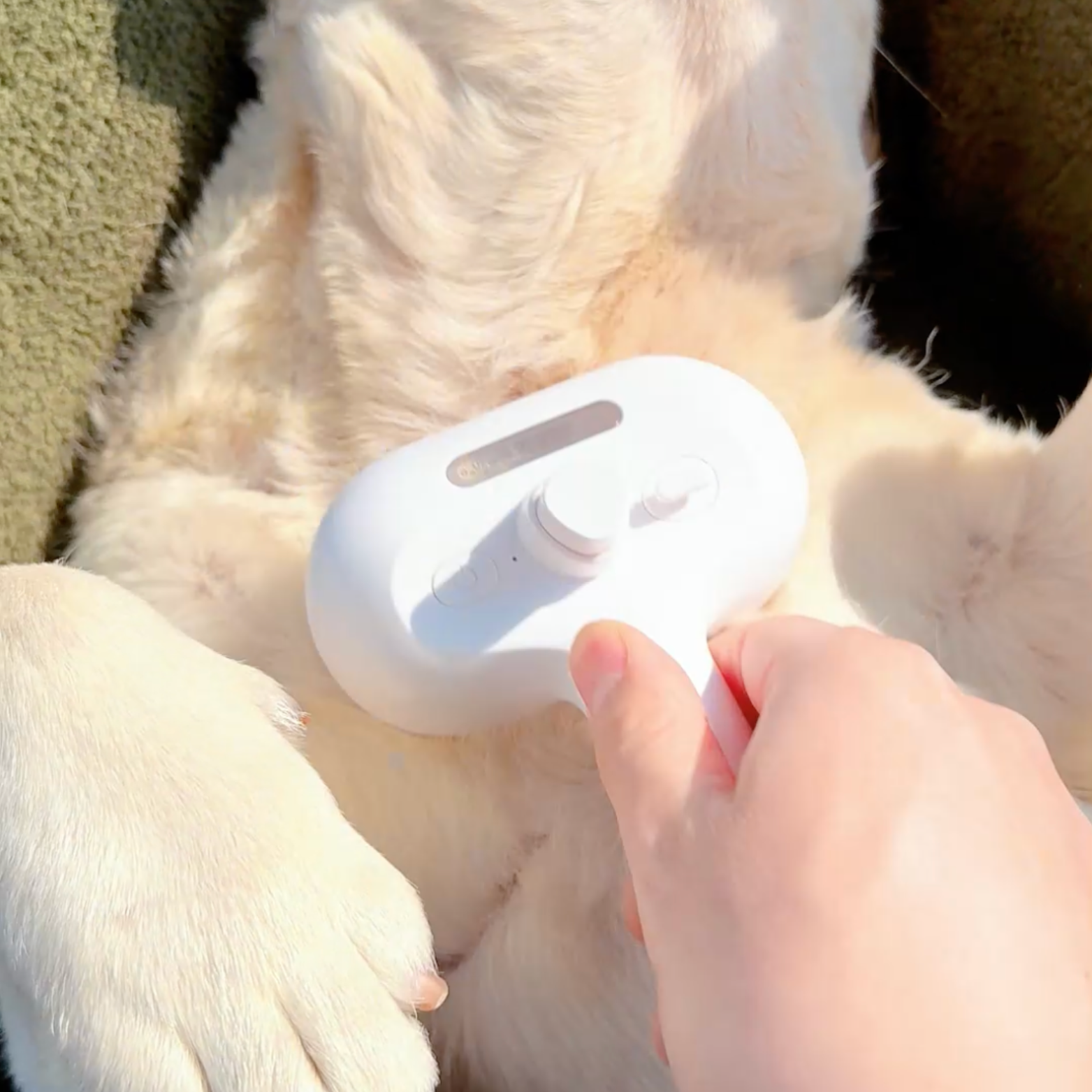 3 in 1 Viral Steam Brush