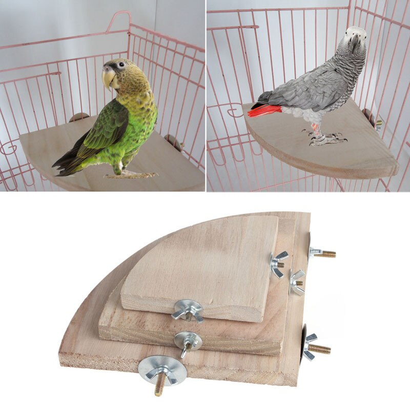 Bird Parrot Wood Platform Stand