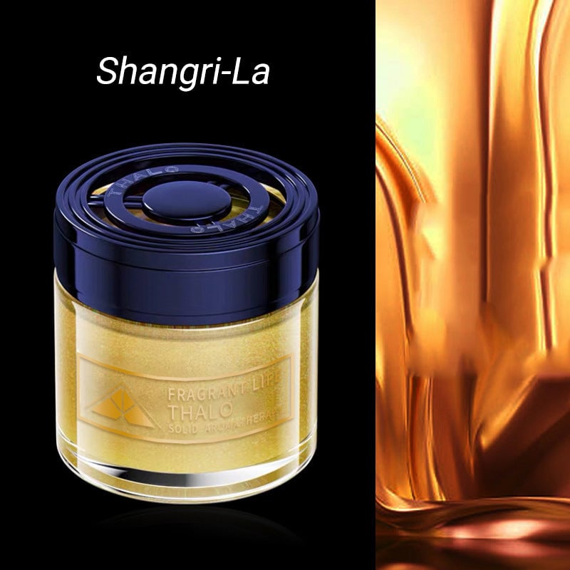 🍃Car Long-Lasting Solid Aromatherapy Fragrance