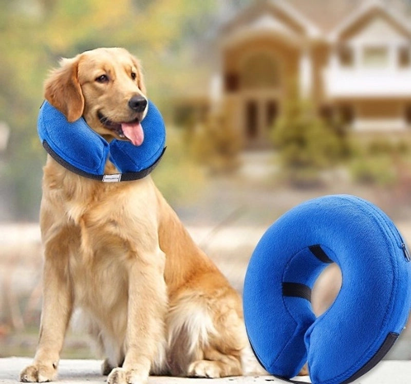 Minimalist Pvc Solid Color Pet Collar