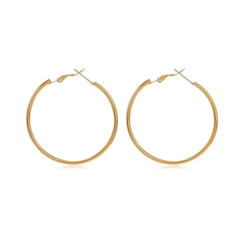 1 Pair Minimalist Solid Color Plating 304 Stainless Steel Stainless Steel Earrings