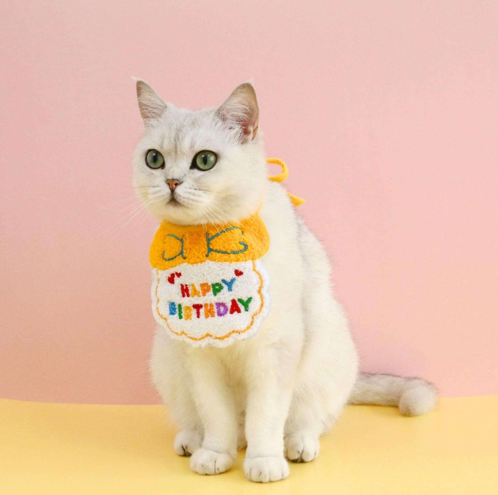 Pet Birthday Ensemble - Embroidered Accessory with Bowtie