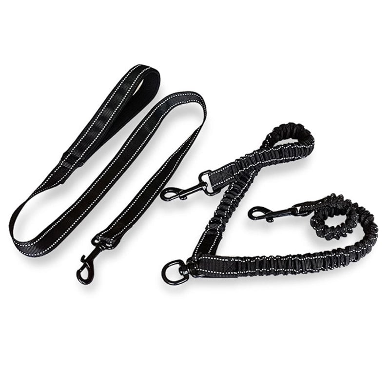 One Drag Two Leash 2 Dog Leash Elastic Buffer Dog Chain Reflective Leash Dog Leash Dog Leash Double Leash