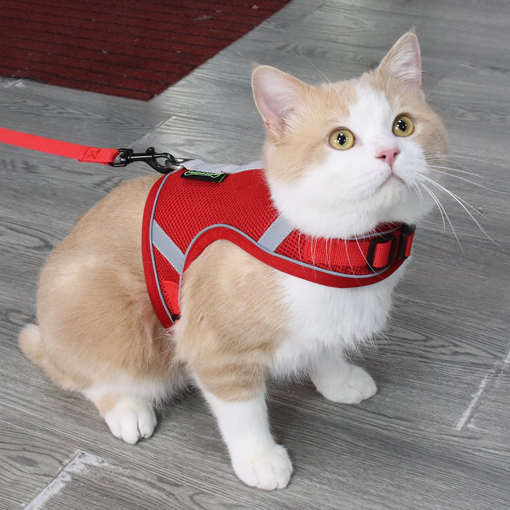 Padded Dog Vest Harness