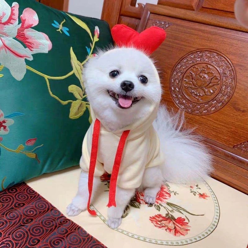 Puppy Dog Autumn And Winter Small And Medium-sized Dog Love Two-legged Cat Cute Pet Clothes Supplies