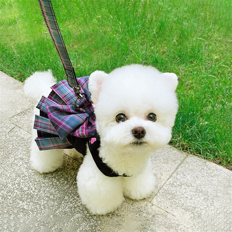 Vintage Plaid Dog Harness With Leash Set