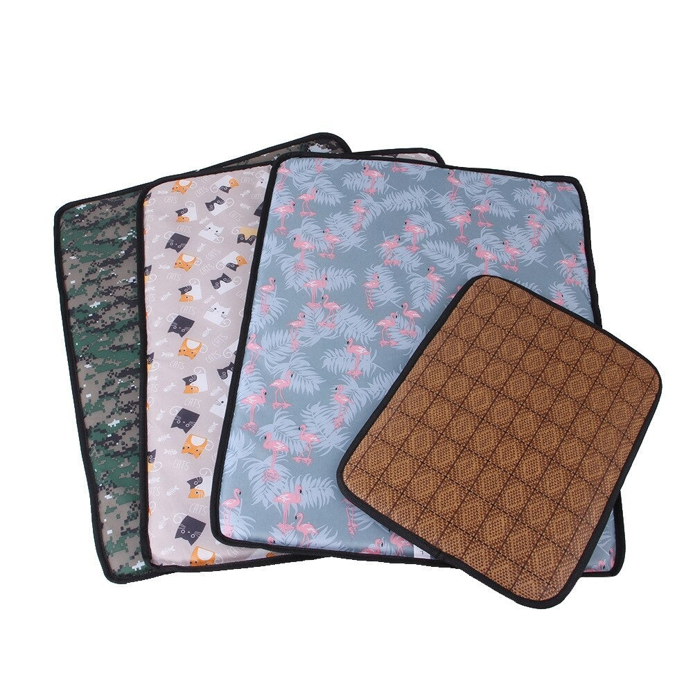 Double Sided Pet Mat