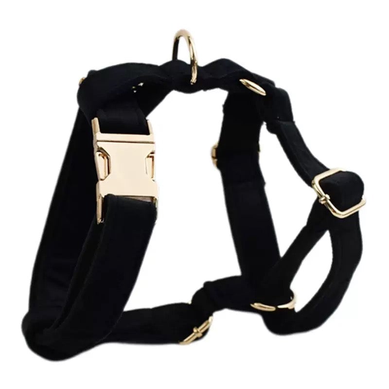 Velvet Personalized Dog Harness Collar Leash