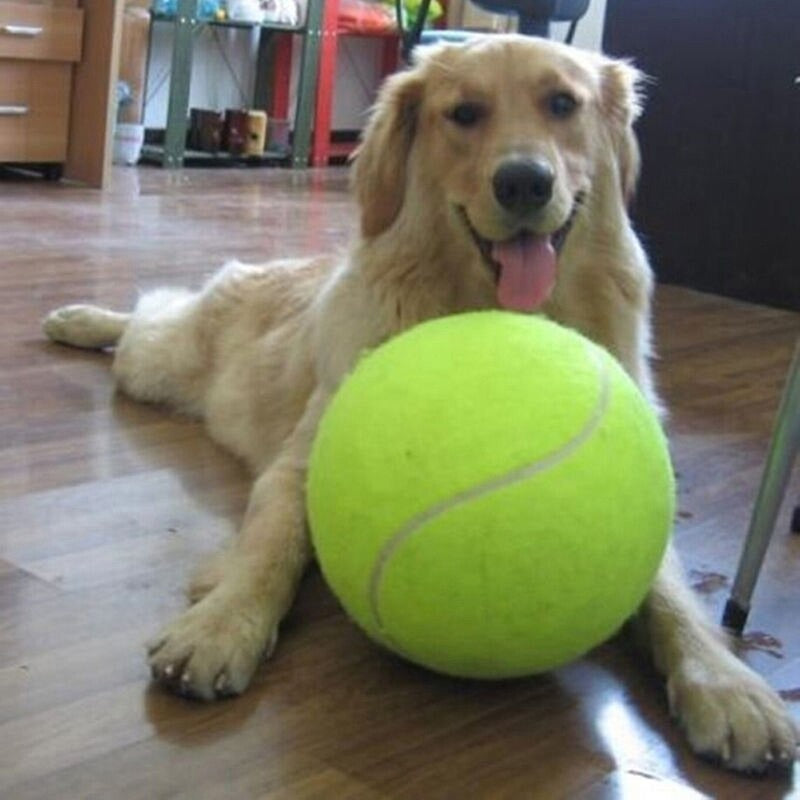 Mega Jumbo Pet Toy Ball