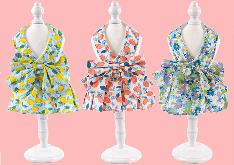 Floral Puppy Dress&Leash Set