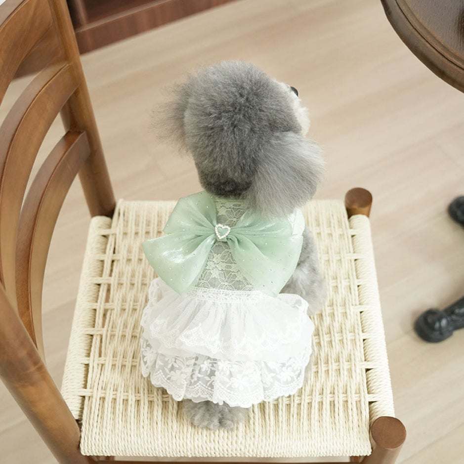 Sweet Lace Design Bow Dog Cat Dress