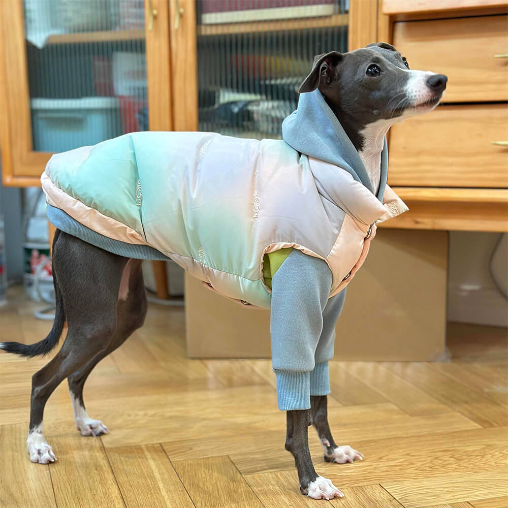 Lightweight Warm Thick Turtleneck Down Padded Dog Jacket Sweatshirt Set