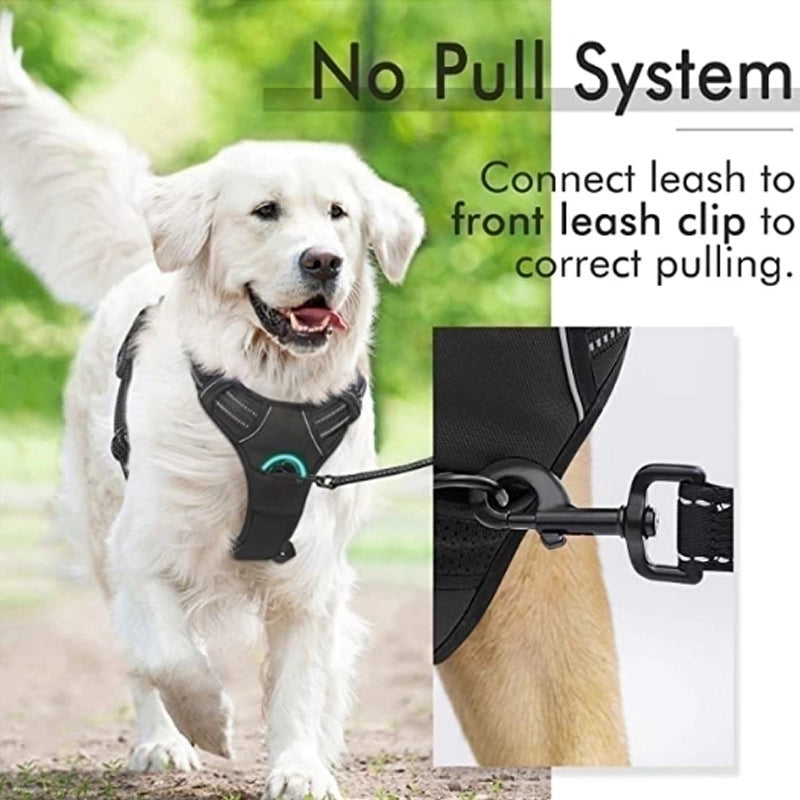 Minimalist Nylon Color Block Leash