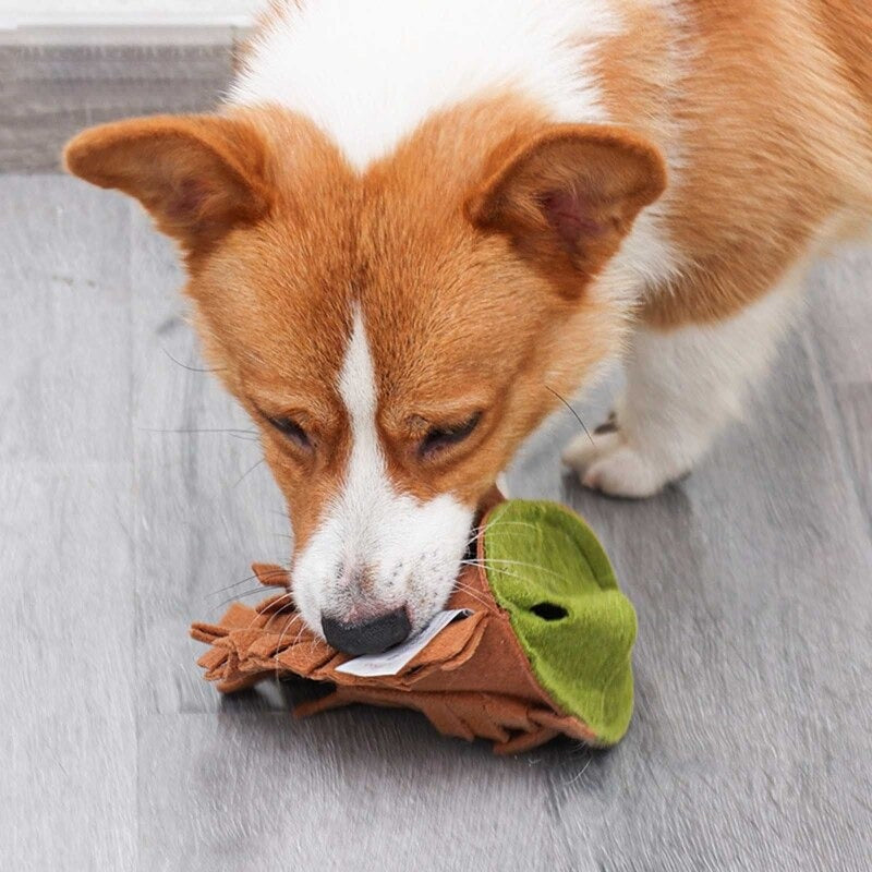 Dog Snuffle Mat Plush Nut Toy