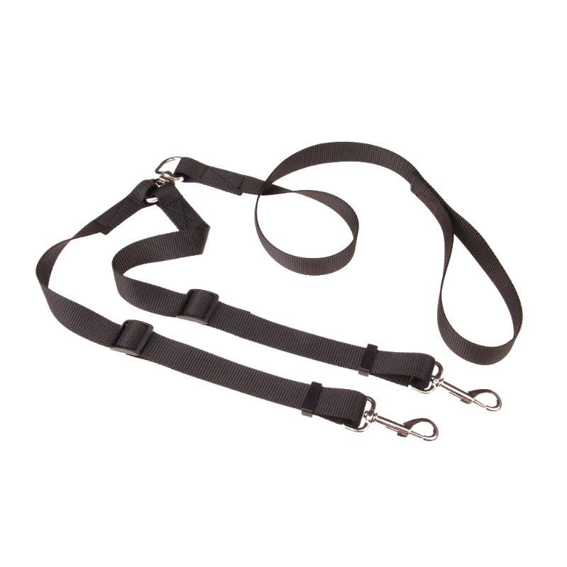 Double Dog Leash