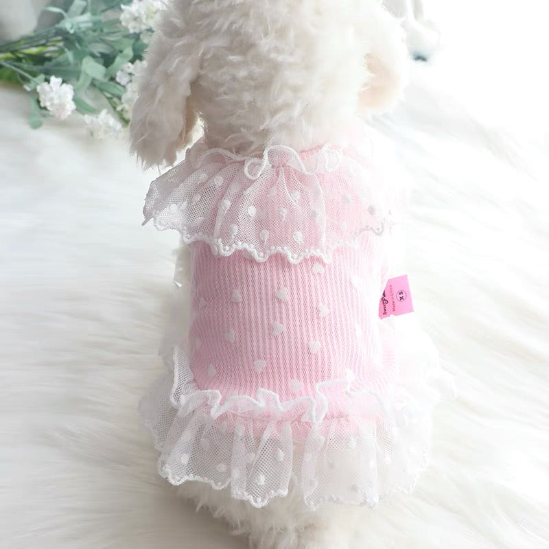Heart Printed Lace Dog Cat Dress