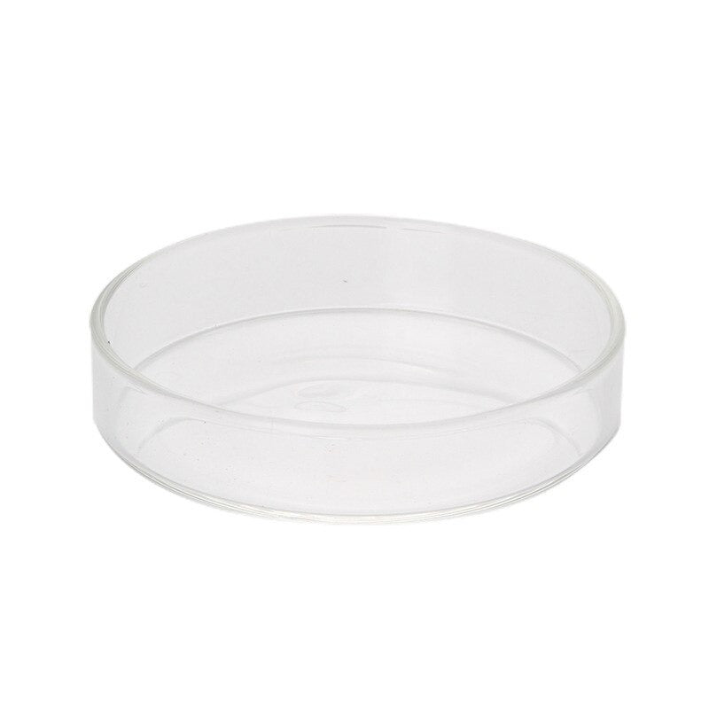 Shrimp Clear Glass Feeding Bowl For Aquarium