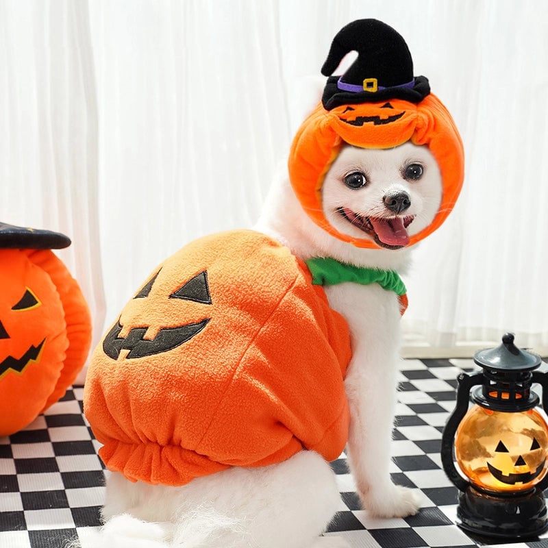 Minimalist Classic Style Polyester Halloween Pumpkin Pet Clothing