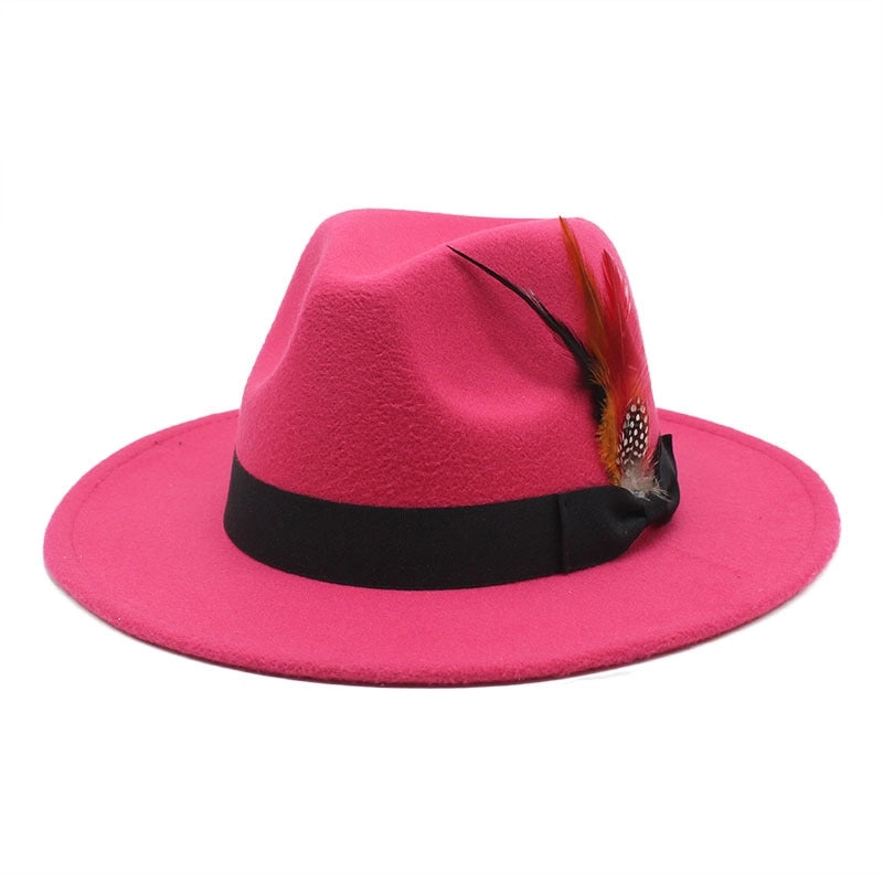 Bow Feather Top Hat Autumn And Winter Big Brim Hat Fashionable Men's And Women's Cashmere Felt Hat Style New Hats