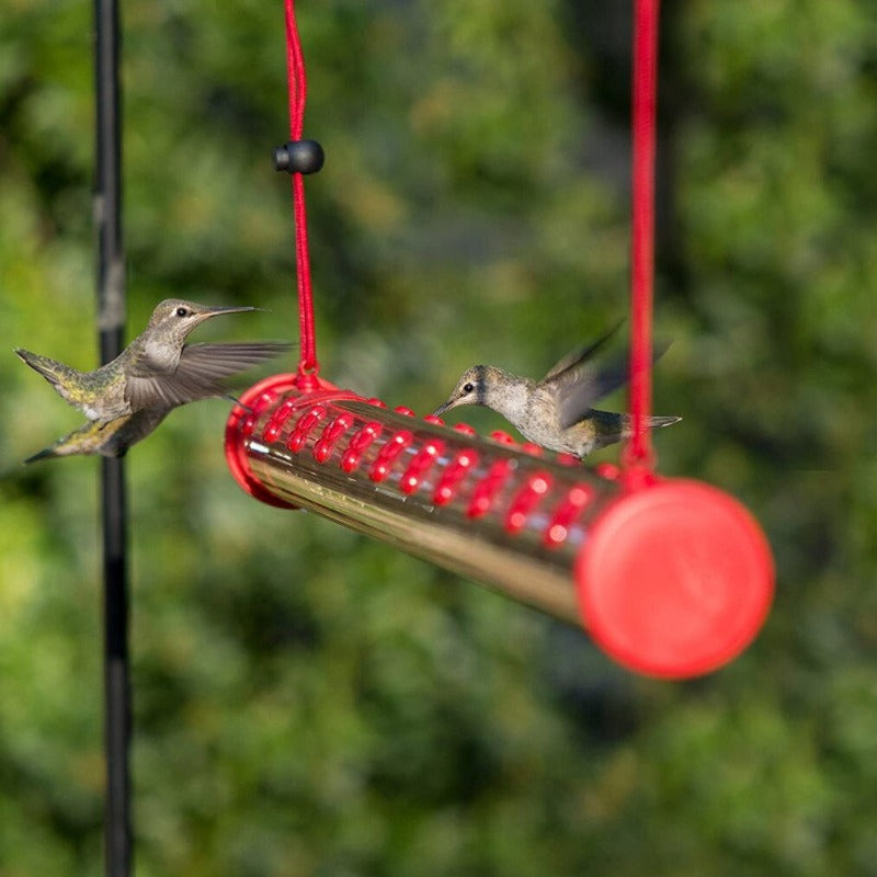 Bird Hanging Feeder Foldable