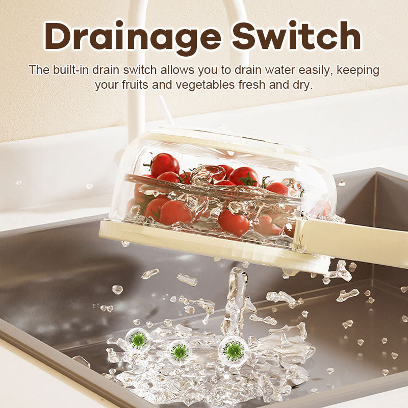 🔥Last Day Promotion 75% OFF🍓Drain Basket Storage Box🥦