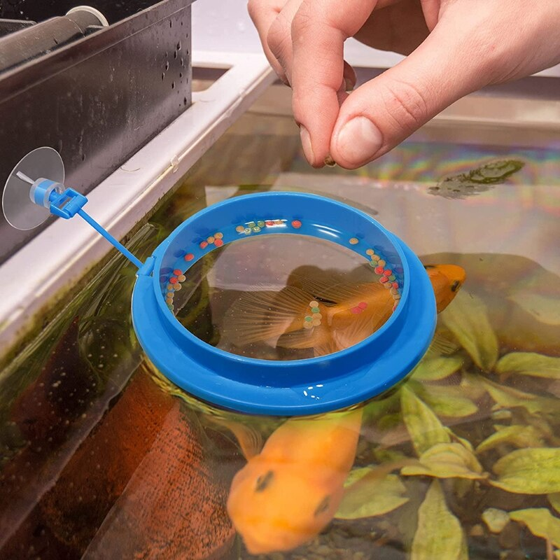 Round Square Aquarium Feeding Ring