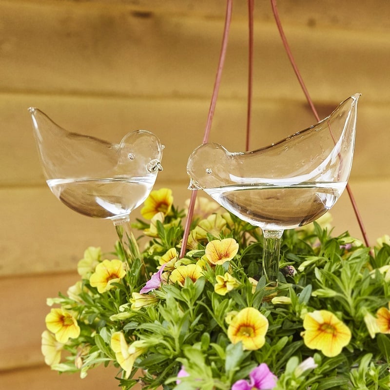 (🔥 Promotion-SAVE 49% OFF) Self-Watering Plant Glass Bulbs