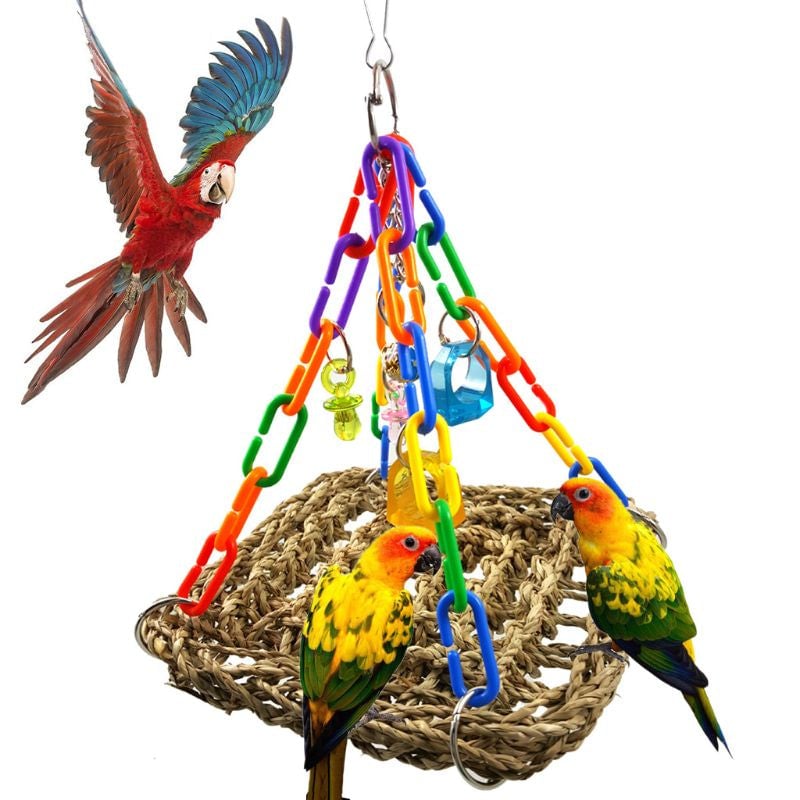 Parrot Swing Toys