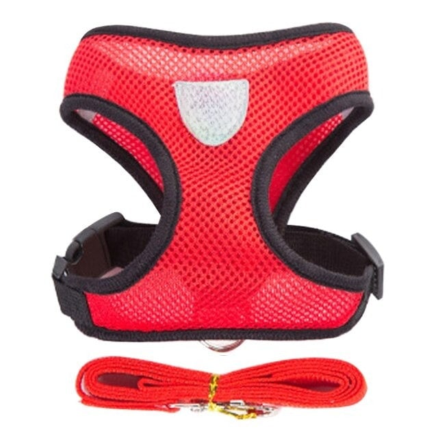 Adjustable Walking Lead Leash For Dogs