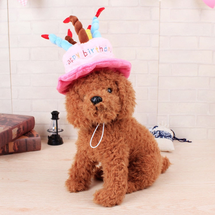 Cute Dog Cat Birthday Hat