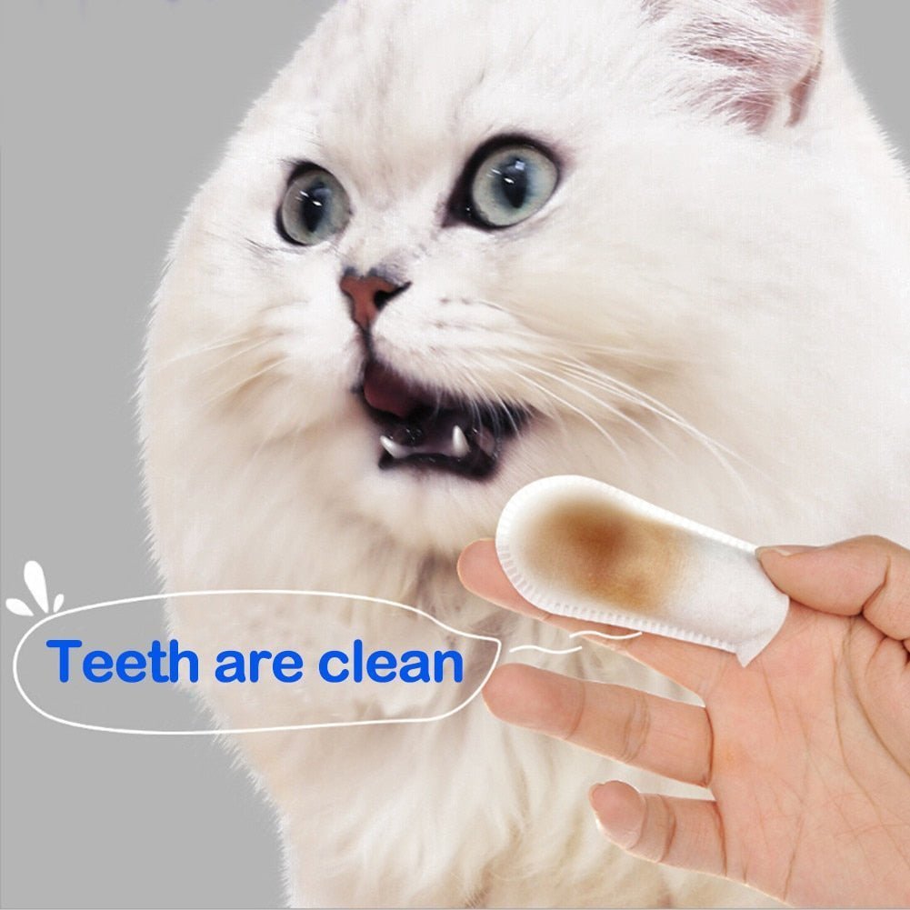 ✨Pet Dental Cleaning finger Wipes